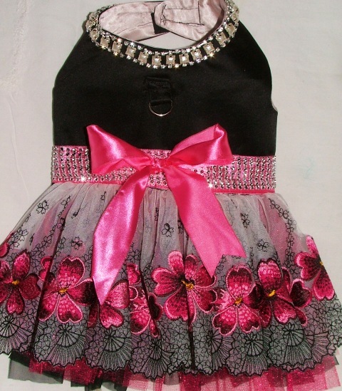 Black Velvet, RED Roses Border Designer dress
