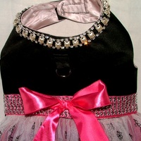 Black Velvet, RED Roses Border Designer dress - Thumbnail 2