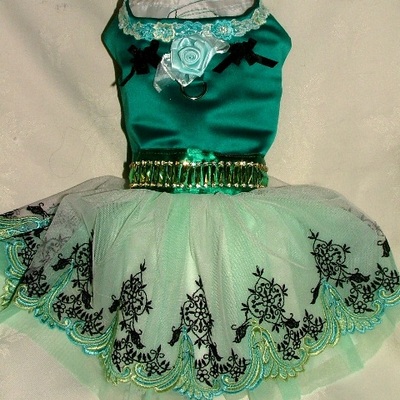Very beautiful teal satin designer dog dress