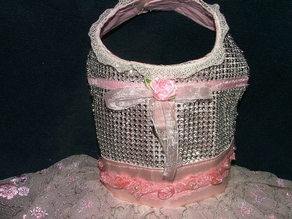 Amazingly Lovely PINK Portrait Dress for Pooches