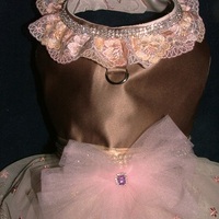 Devine Taupe Satin and Pink Designer Dog Dress - Thumbnail 1