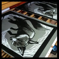 out of the mist - Thumbnail 1