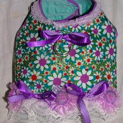 Daisy may harness  vest for the toy breed dog!