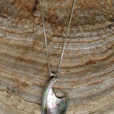 Abalone freeform sterling silver necklace #1