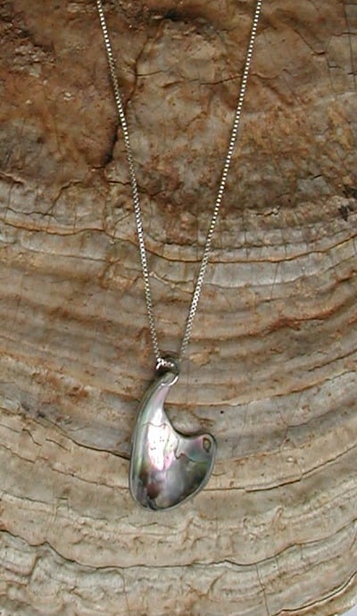 Abalone Freeform Sterling Silver Necklace #1