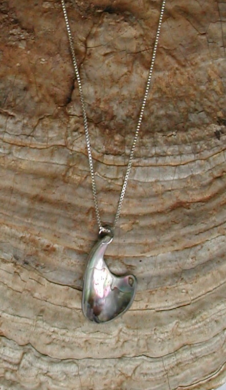 Abalone Freeform Sterling Silver Necklace #1