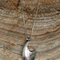 Abalone Freeform Sterling Silver Necklace #1