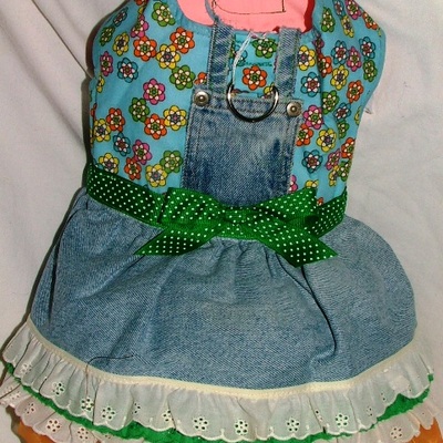 Precious country denim dress