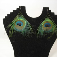 Peacock Feather Earrings - Thumbnail 1