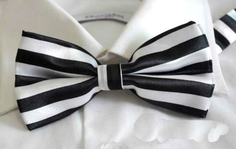 BLACK & WHITE TWO TONE STRIP Pattern BOW TIE
