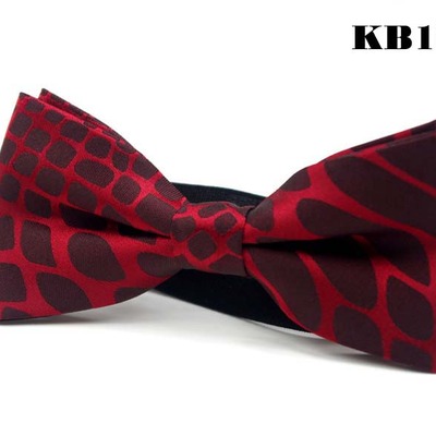 5 bow tie for kid use 5 different design