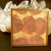 Pepperoni Pizza Beer Coasters - Thumbnail 1