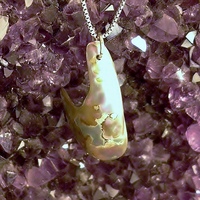 Abalone Freeform Sterling Silver Necklace #1 - Thumbnail 4