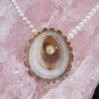 Lipid Shell Necklace  - Thumbnail 1