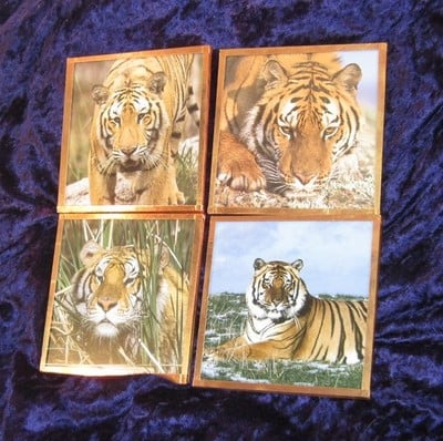 Tiger Copper Coasters Set of 4