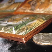 Tiger Copper Coasters Set of 4 - Thumbnail 4