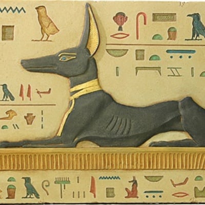 Reclining anubis with hieroglyphs wall relief color details e-079sp