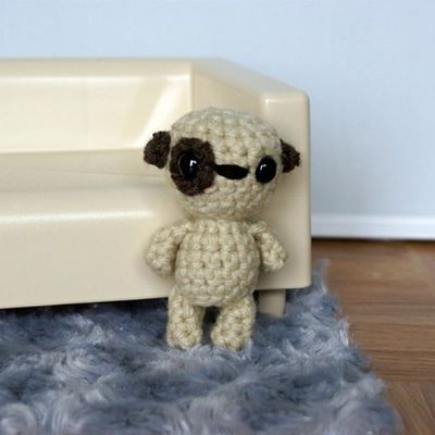 Tyson, the tiny puppy