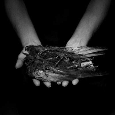 Moutheater - ornament lp