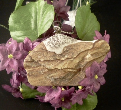 Picture Jasper Necklace