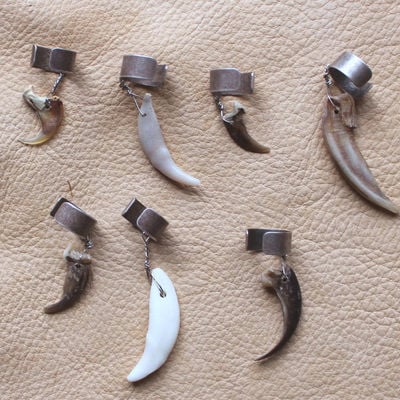 Set of seven claw and tooth ear cuffs fox coyote bobcat badger porcupine