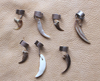 Set of SEVEN claw and tooth ear cuffs fox coyote bobcat badger porcupine