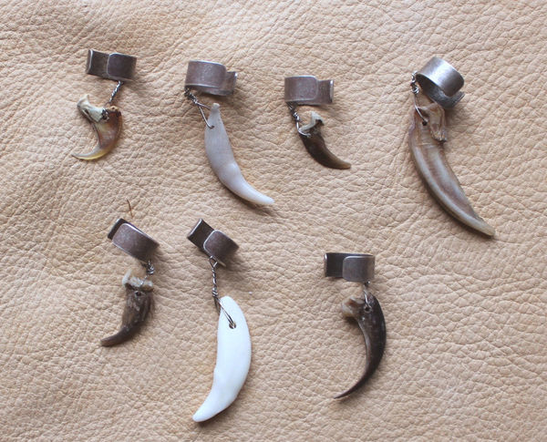 Set of SEVEN claw and tooth ear cuffs fox coyote bobcat badger porcupine