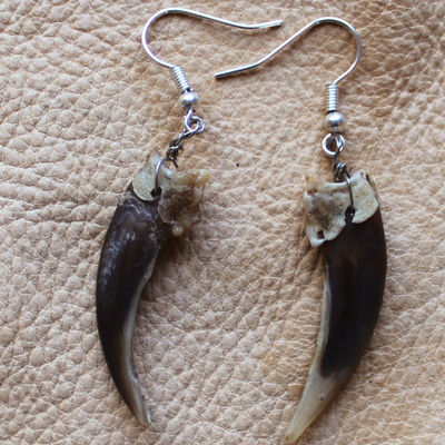 Real badger front claw earrings