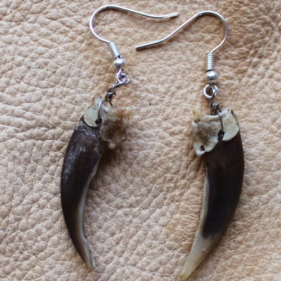 Real badger front claw earrings