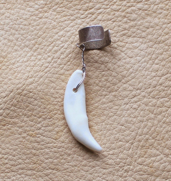 Real coyote canine fang tooth on silver-plated brass ear cuff