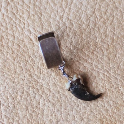 Real raccoon claw on silver-plated brass ear cuff