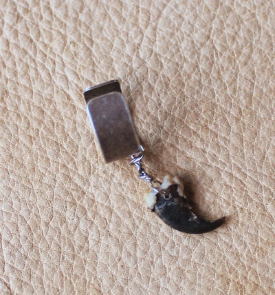Real raccoon claw on silver-plated brass ear cuff