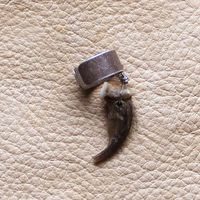 Real coyote claw on silver-plated brass ear cuff - Thumbnail 1