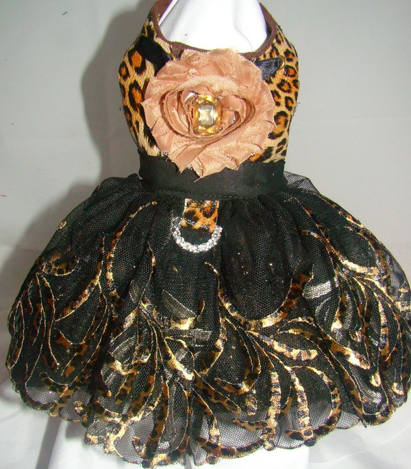 Tiger's Eye Couture Dog Dress