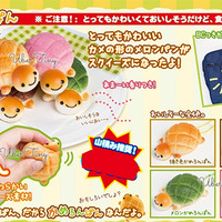 Turtle Melon Bun Squishy - Thumbnail 3