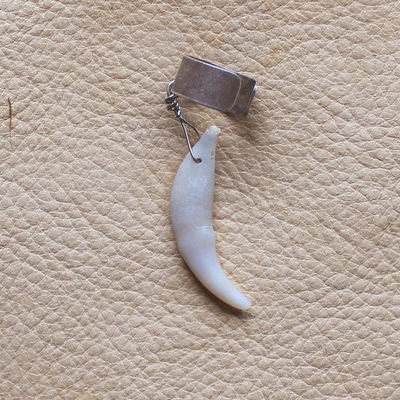 Real red fox canine fang tooth on silver-plated brass ear cuff