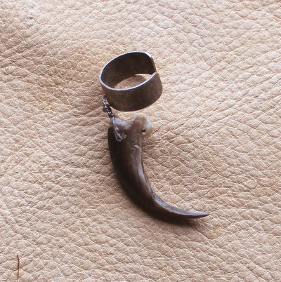 Real American porcupine claw on silver-plated brass ear cuff