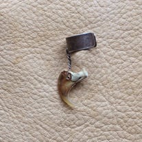 Real bobcat claw on silver-plated brass ear cuff