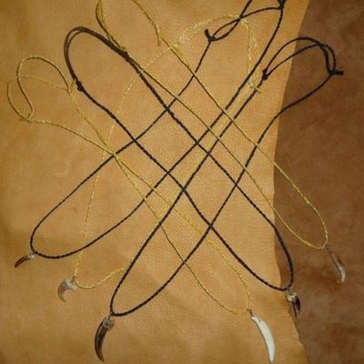 Set of six assorted animal claw and fang tooth necklaces coyote fox badger more