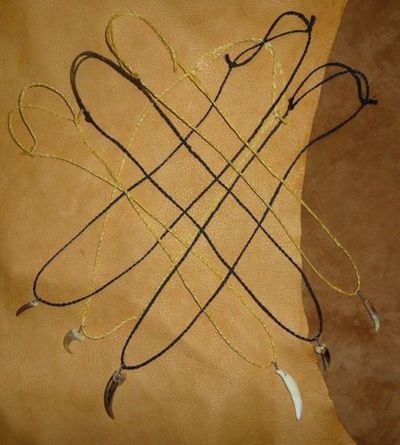 Set of six assorted animal claw and fang tooth necklaces coyote fox badger more