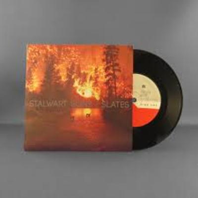Stalwart sons/slates split 7"