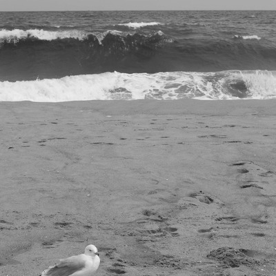 Peaceful summer 8x10