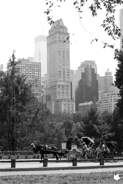 Central Park 5x7