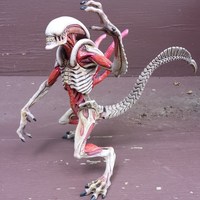 White Alien Warrior - Thumbnail 1