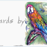 Parrot - Thumbnail 2