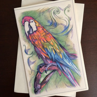 Parrot - Thumbnail 1