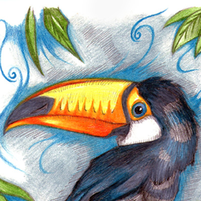 Toucan