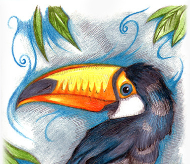 Toucan