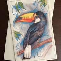 Toucan - Thumbnail 1