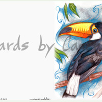 Toucan - Thumbnail 2